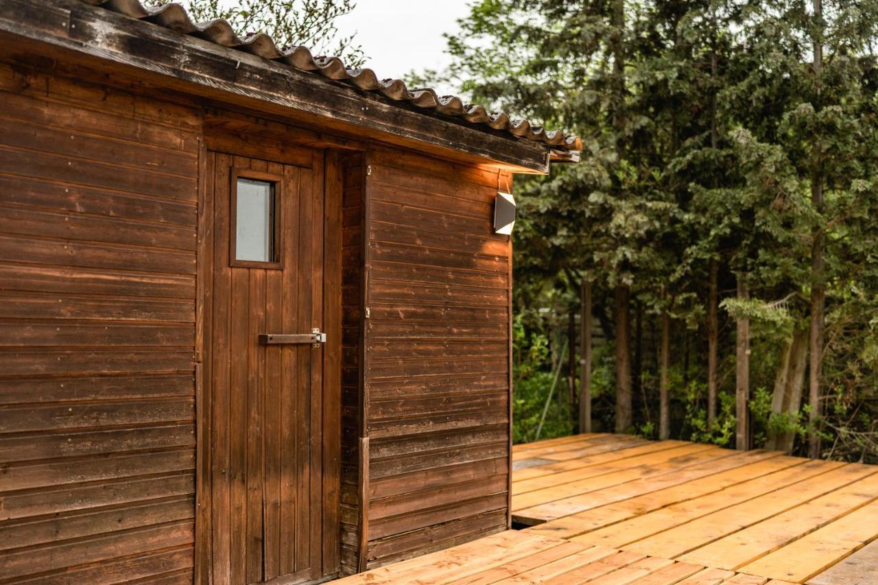 Die Entspannendste Wohnung Am Edersee - Spa Sauna Edertal Exterior foto